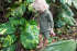 Beach & Bandits UV-dragt til med lange ærmer UPF 50+ - palm ribbed olive green
