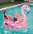 Pink Bestway flamingo badedyr