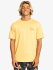 Quiksilver kortærmet UPF 50+ t-shirt