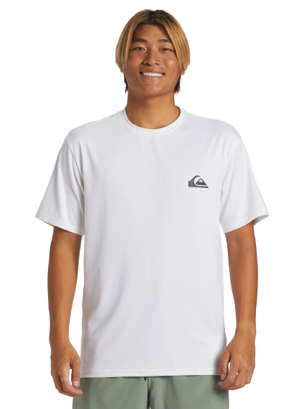 Se Quiksilver everyday surf UPF 50+ t-shirt - white hos Faktorfobi