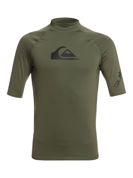 Se Quiksilver all time UPF 50+ badetrøje - VOKSEN - laurel wreath hos Faktorfobi